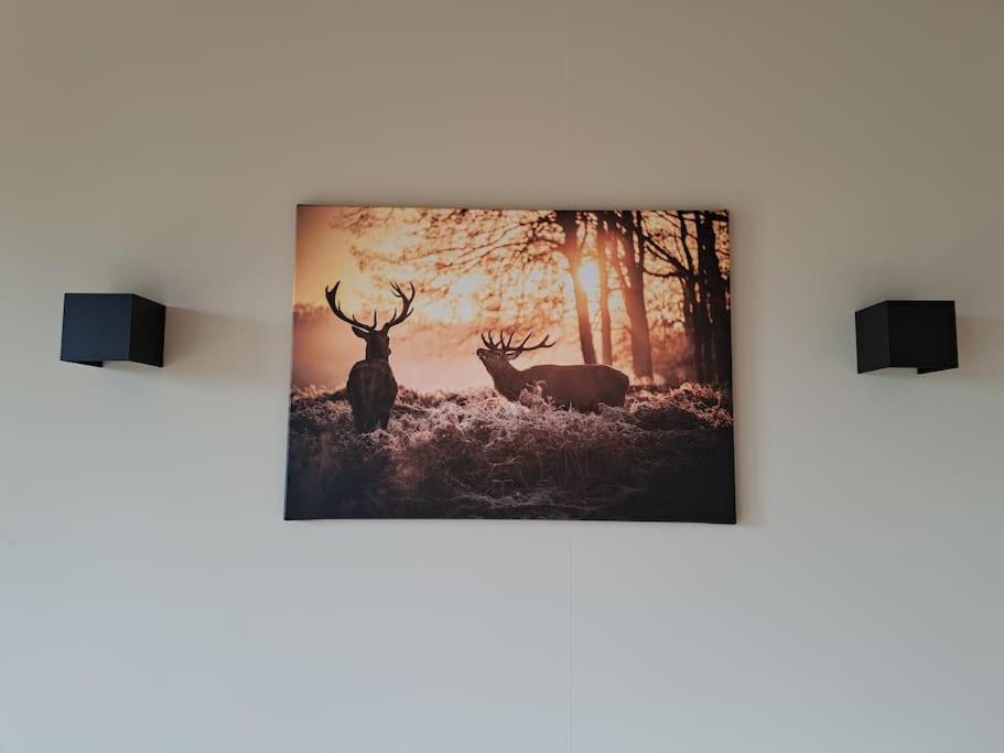 Lange Heide Apartment Otterlo Bagian luar foto